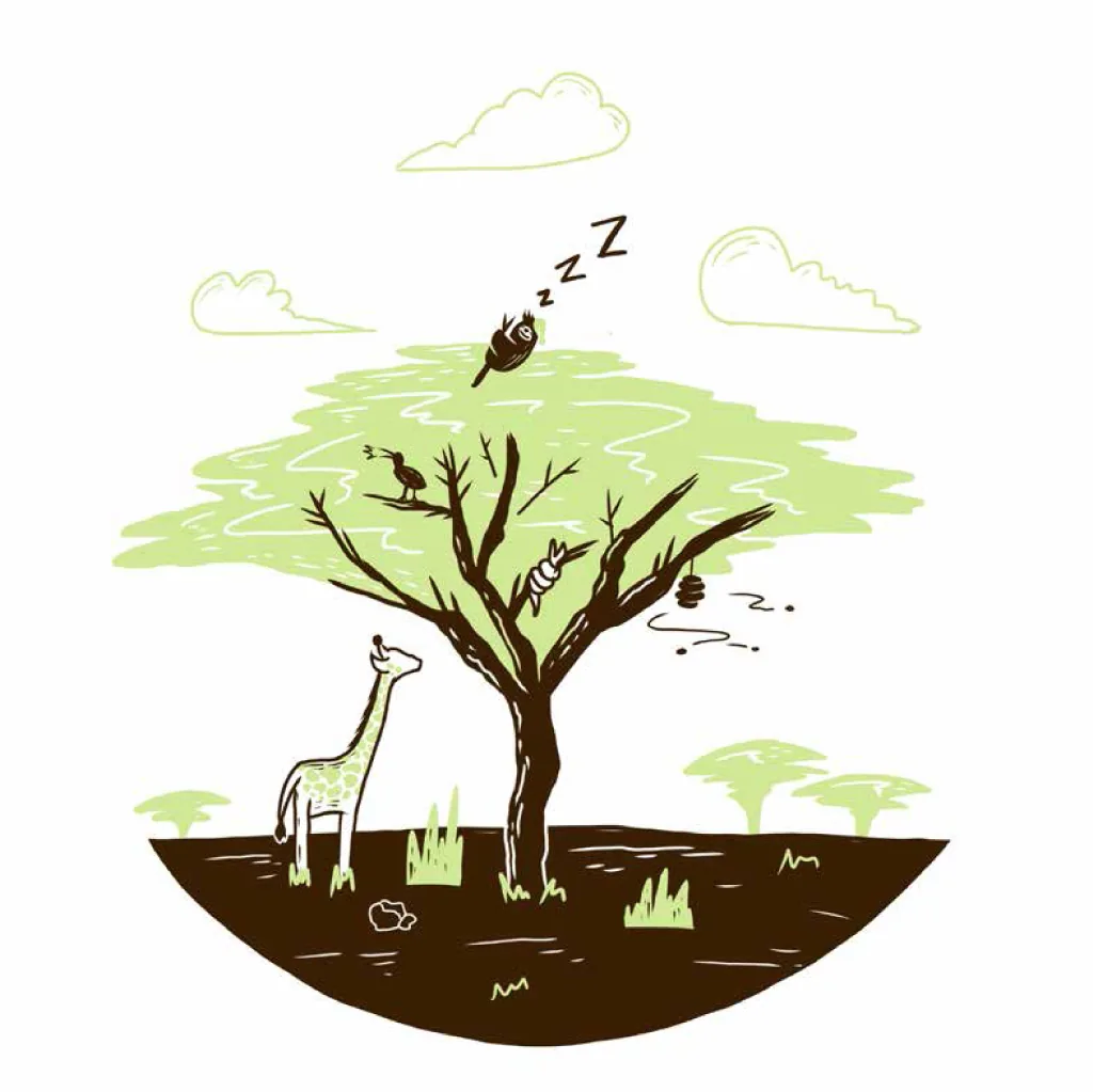 Sleepy Mr Sloth, page 12