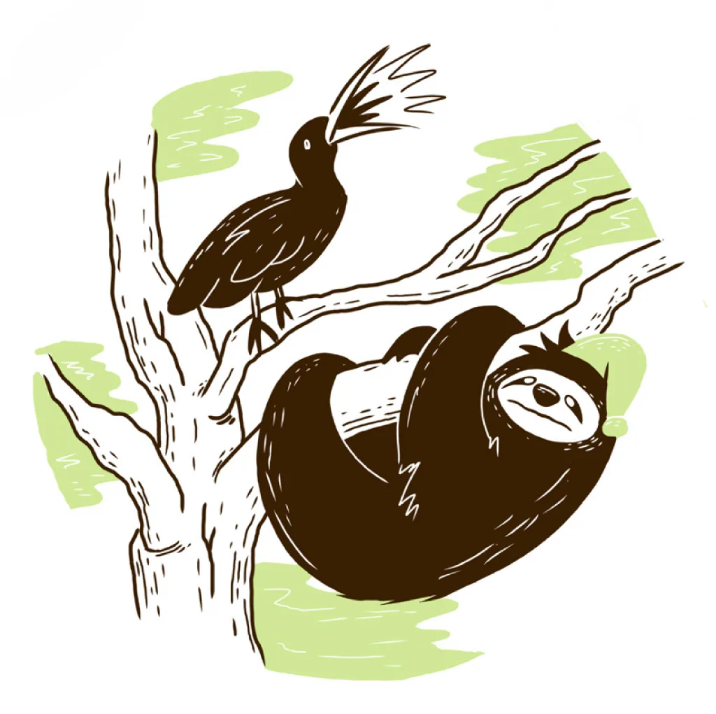 Sleepy Mr Sloth, page 10