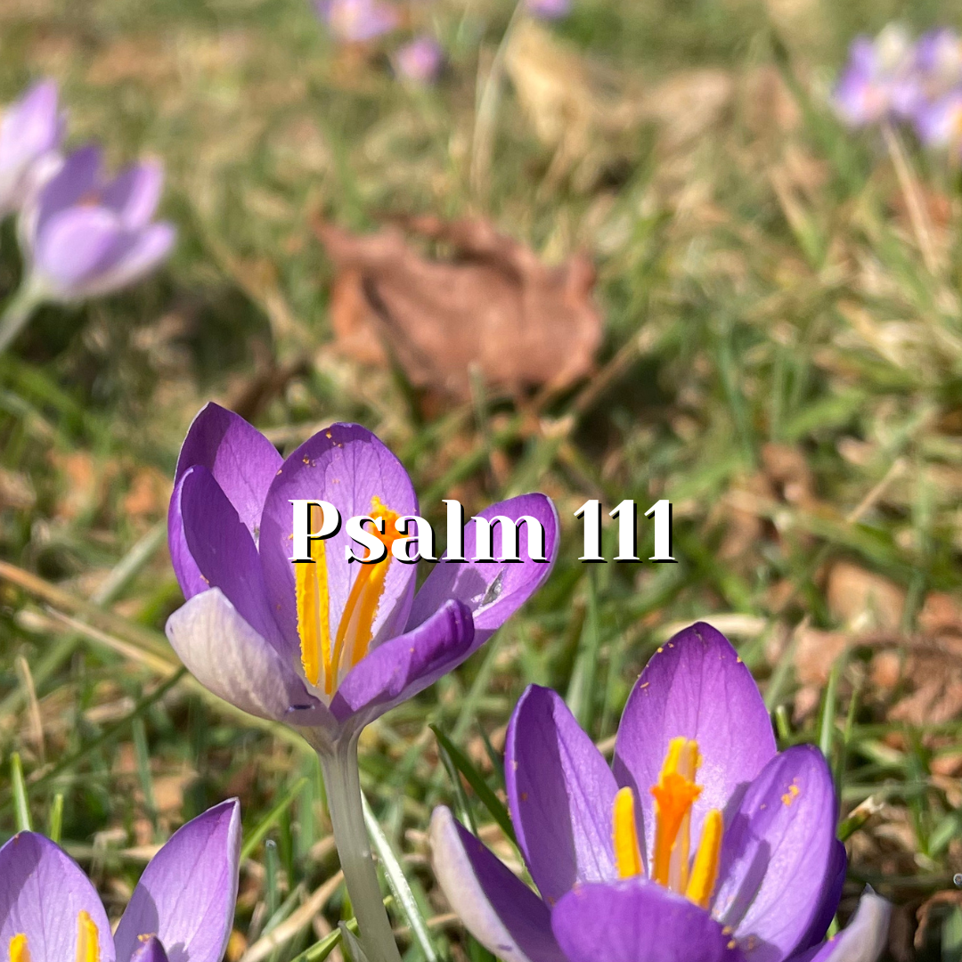 Psalm 111 — Growing with Praise — Reading the Psalms - Psalms for Kids