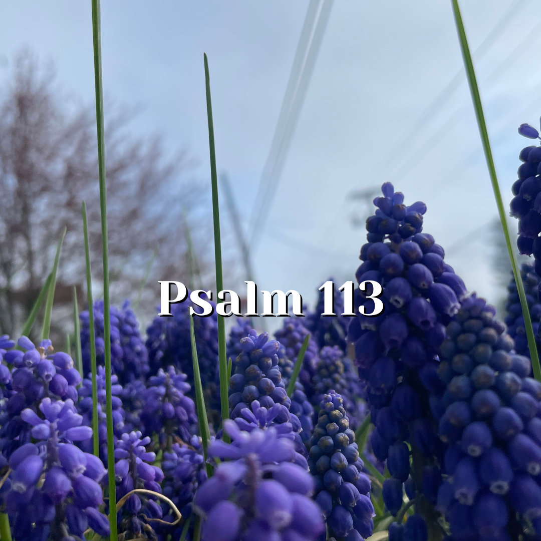 Psalm 113 — Praise for one who listens — Reading the Psalms - Psalms ...