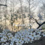 Psalm-118-—-God-gives-us-the-Light-—-Reading.png