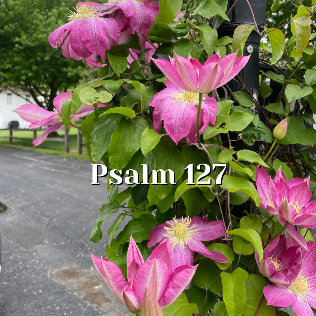 Psalm 127 You Can t Keep Rocks From Cracking Reading The Psalms psalm-127-you-can-t-keep-rocks-from-cracking-reading-the-psalms