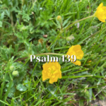 Psalm 139 — Close by the Creator — Reading the Psalms