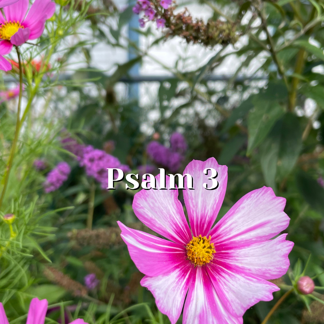 Psalm 3 — Psalms Speak Personally — Reading the Psalms - Psalms for Kids©