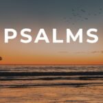 The Book of Psalms: Sleep with Bible Verses For Sleep on! (KJV Reading of the 10 Best Psalms)