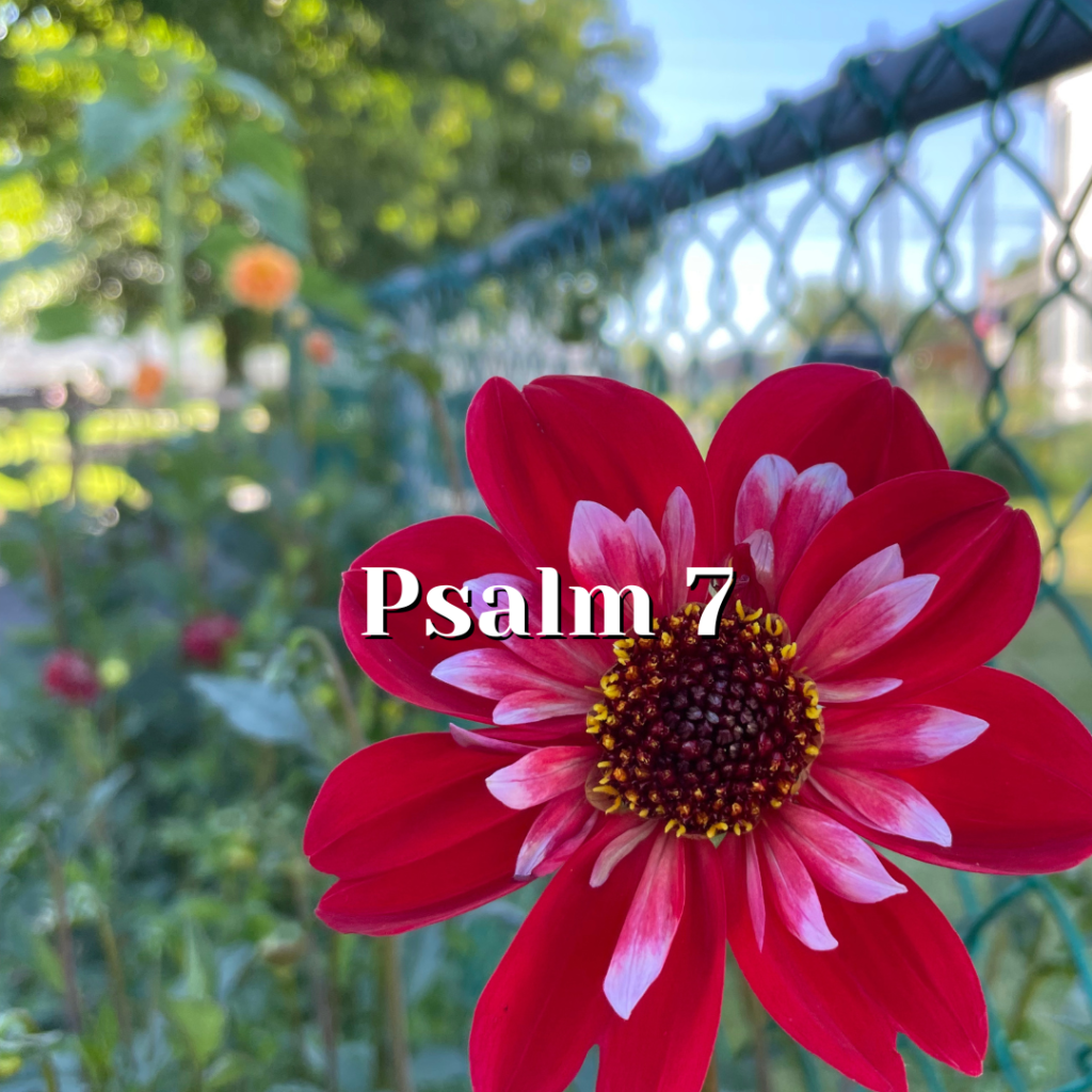 Psalm 7 Integrity Before God Reading The Psalms Psalms For Kids psalm-7-integrity-before-god-reading-the-psalms-psalms-for-kids