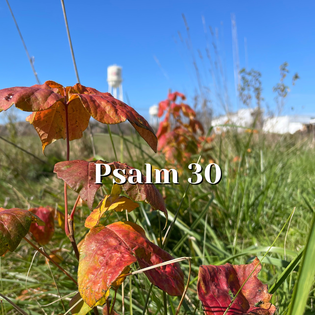 Psalm 30 — Protection from the Pit — Reading the Psalms - Psalms for Kids©