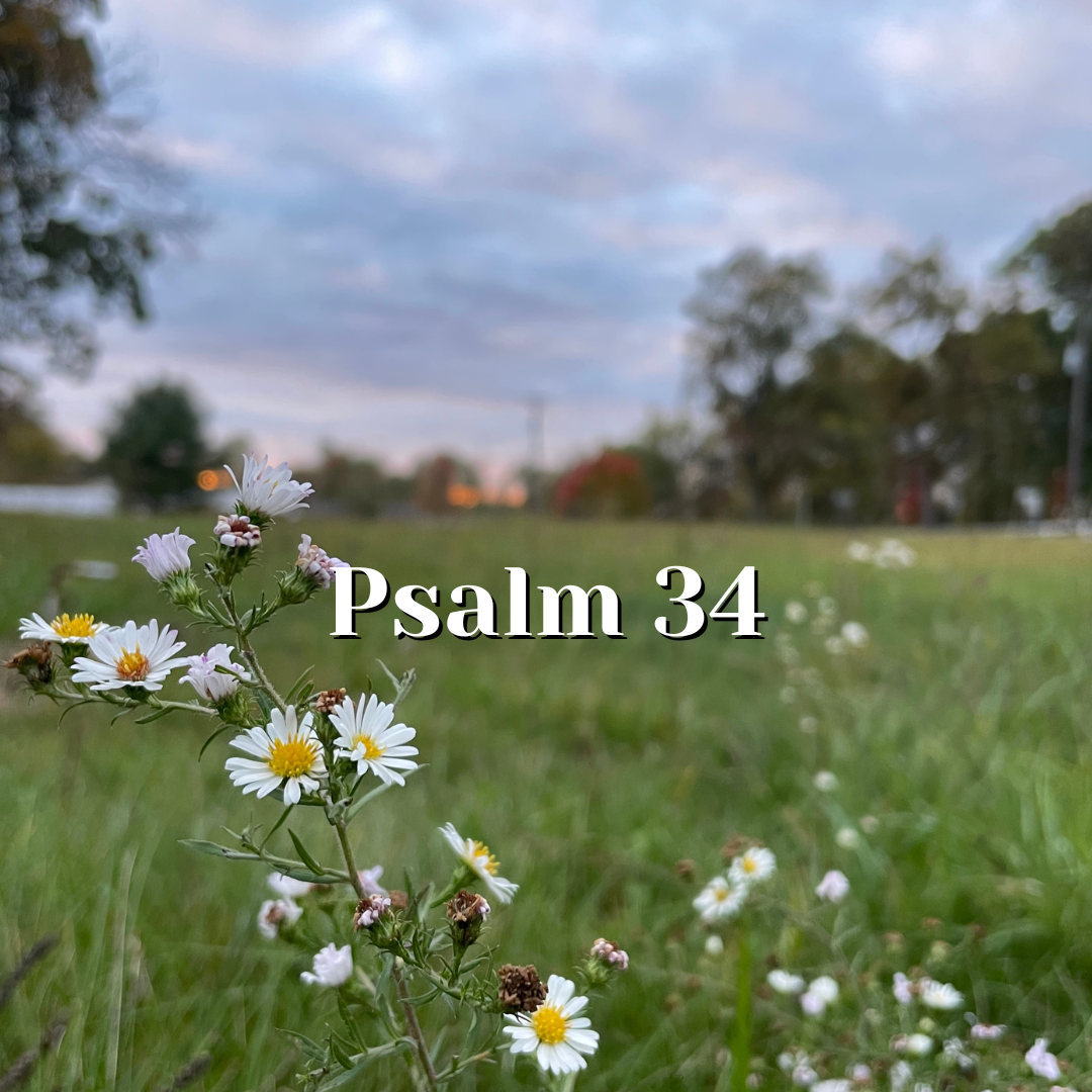 Psalm 34 — Grateful for God’s Goodness — Reading the Psalms - Psalms ...