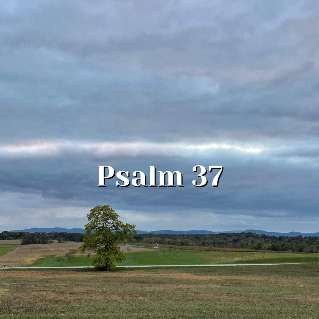 Psalm 37 — Trust in God — Reading the Psalms - Psalms for Kids