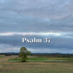 Psalm-37-—-Trust-in-God-—-Reading-the-Psalms.png