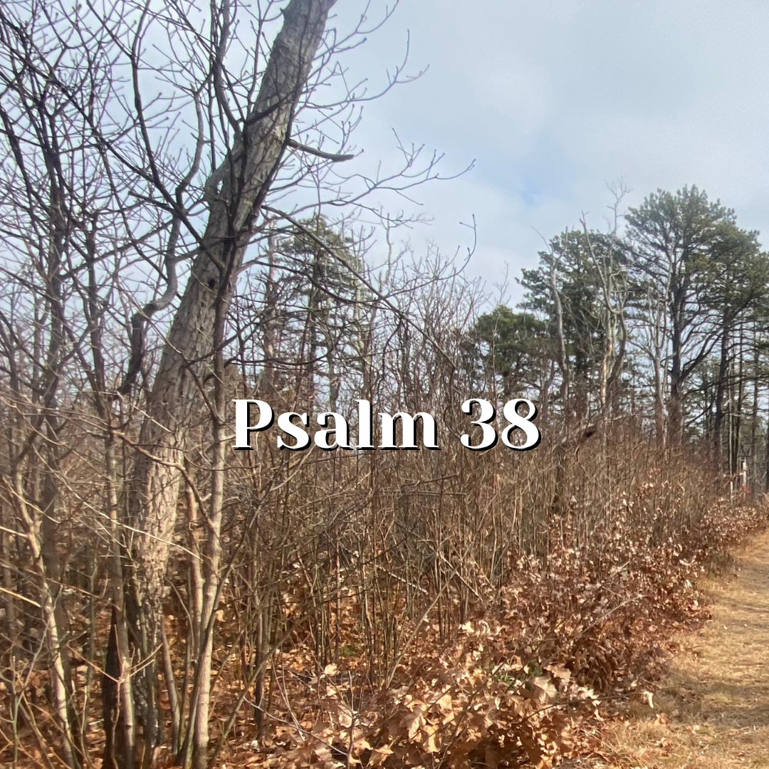 Psalm 38 