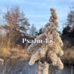 Psalm-45-—-The-Greatest-Jewish-King-—-Reading-the.png