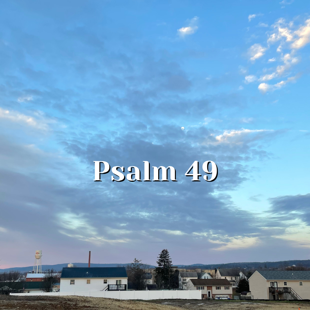 Psalm 49 — A Shepherd In Sheol — Reading The Psalms - Psalms For Kids©