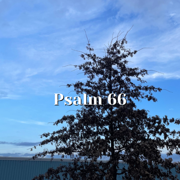 Psalm 66 — God’s Covenant Relationship — Reading the Psalms - Psalms ...