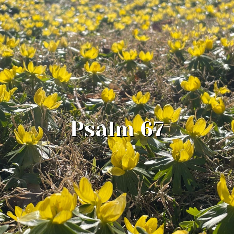 Psalm 67 — God’s Covenant is a Blessing — Reading the Psalms - Psalms ...