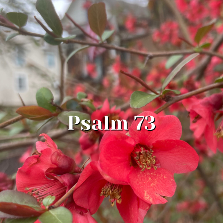 Psalm 73 — Praying to See Reality Clearly — Reading the Psalms - Psalms ...